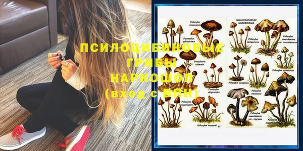 мяу мяу кристалл Елизово