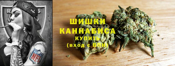 a pvp Ельня