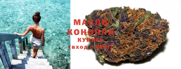 молекула духа Елабуга