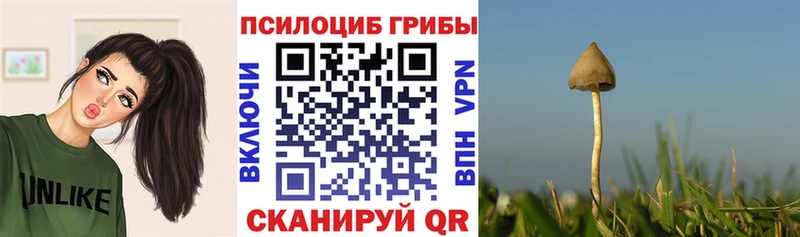 Псилоцибиновые грибы Cubensis  Купить закладки  Джанкой 