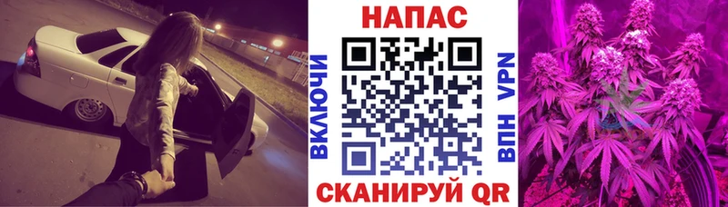 Конопля OG Kush  Купить где  Джанкой 